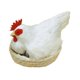 thumbnail image 3 of Modelo de simulación de pollo, figura de gallina, decoración de Pascua, estatua de jardín, modelo de gallina, adorno para jardín, hogar y patio., 3 of 9