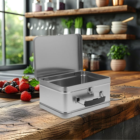 MLINS Metal Lunch Box Tinplate Container with Handle 1 Set for Food Storage Crafts Retro Vintage Tin Lunch Box