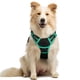 thumbnail image 1 of Arnés para perros Rabbitgoo, sin tirones, ajustable para perros medianos, 1 of 7