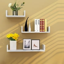 FUTUREORYY Book Racks for Display Shelf Rack Simple Design 1Pcs for Office Organization