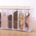 thumbnail image 5 of Condiment Storage  Transparent Two Way Opening Lid Spice Dispenser for Kitchen, 5 of 5