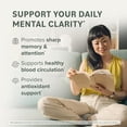 thumbnail image 4 of Prominent Nutrition Ginkgo Biloba - Antioxidant Supplement for Memory & Focus Support - Healthy Blood Circulation - Non-GMO, Vegan & Gluten-Free - 120 Capsules (120 Servings), 4 of 9