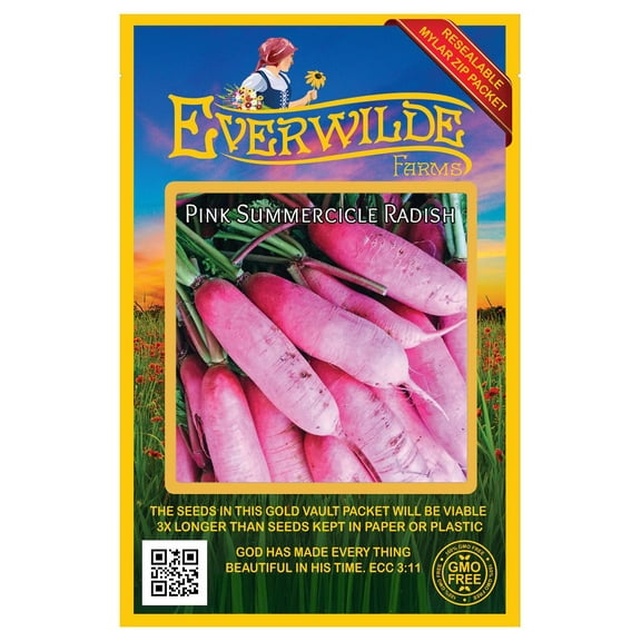 Everwilde Farms - 300 Pink Summercicle Radish Seeds - Gold Vault Jumbo Bulk Seed Packet