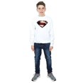 thumbnail image 4 of DC Comics Garçons La Ligue des Justiciers Film Superman Chandail à Emblème, 4 of 5