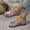 Purple, variant on Viluyesy Womens Flat Sandals, 2025 Summer New Style Ankle Buckle Open Toe Summer Casual Shoes Brown