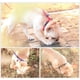thumbnail image 4 of Correa De Perro Cuerda Correa Entrenamiento Ajustable Nailon, 4 of 8