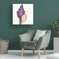 thumbnail image 4 of James Wiens 'Shimmering Shells IX' Canvas Art, 4 of 4