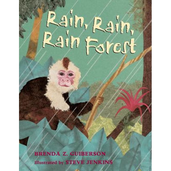 Pre-Owned Rain, Rain, Rain Forest (Paperback) 1250056772 9781250056771