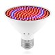 thumbnail image 1 of Crecer luz E27 sala de estar interior sótano planta alta potencia cultivando azul rojo espectro lámpara IP42 impermeable 85-265V Plántulas 200 cuentas kenally HA011807-02, 1 of 7