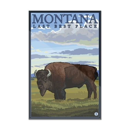 Montana, Last Best Place - Bison - Lantern Press Original Poster (8x12 Acrylic Wall Art Gallery (Best Place To Shop For Cheap Home Decor)