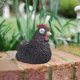 thumbnail image 5 of 2 Macetas de Pollo Suculentas con lámpara solar para Decoración de Jardín. mayimx Figuras decorativas de patio, 5 of 9
