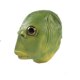 thumbnail image 1 of Máscara de látex con forma de pez verde para Halloween o cosplay, 1 of 3