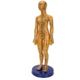 thumbnail image 1 of Modèle d'Acupuncture pour Femmes et Hommes, Performance Fiable, 1 of 14