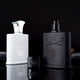 thumbnail image 2 of Silver Mountain Spring Perfume Spray: Refreshing Fruity Scent for Men - Perfect for Dating, Parties & Gifts!, 2 of 4