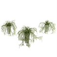 thumbnail image 1 of Wild Grass with White Vase - Set of 3, 1 of 1