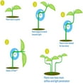 thumbnail image 4 of Plant Branch Benders,60PCS Plant Bender 360 Plant Bender Plant Trainer Clips Dependable Performance, 4 of 8