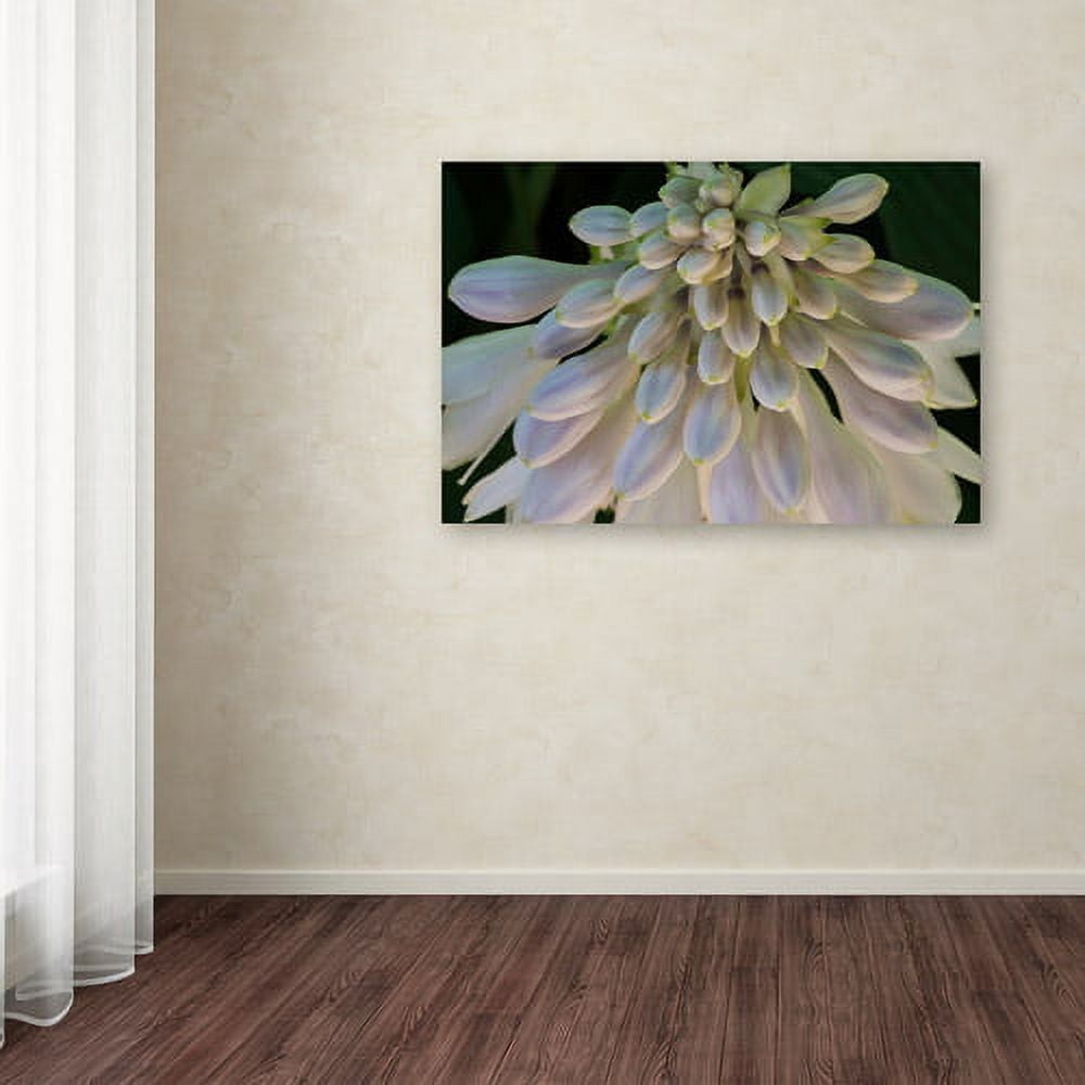 Trademark Fine Art "Hosta Flower Abstract" Canvas Art by Kurt Shaffer