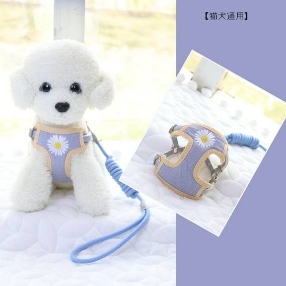 Cat, dog, pet leash, chest, back, collar, walking, anti loss rope, adjustable size,Summer breathable mesh fabric anti strangulation, anti loss rope