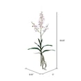 thumbnail image 3 of Vickerman FC180779 30,5 Po. Vaporisateur pour Orchidée Rose & Blanc Mini, 3 of 3