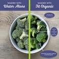 thumbnail image 3 of FIT Organic: Fruit & Vegetable Wash Soaker, 32 oz Bottle, 3 of 6