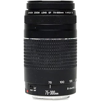 Canon EF-S 55-250mm f/4-5.6 IS STM Telephoto Zoom Lens for SLR