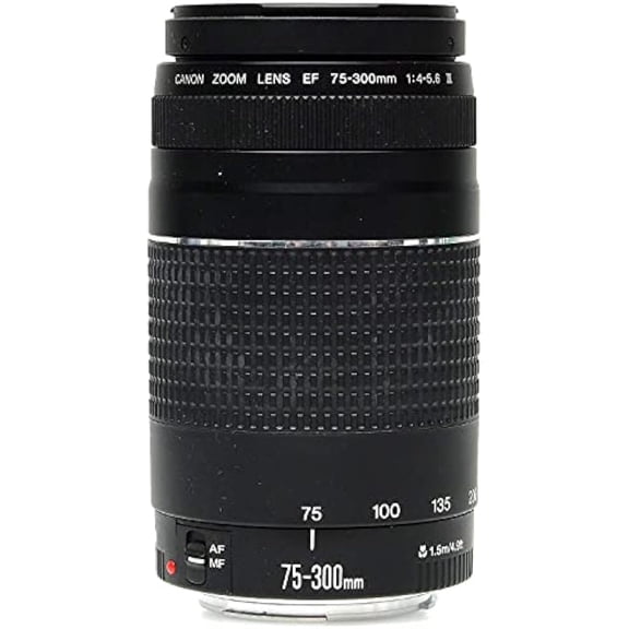 Canon EF 75-300mm F/4-5.6 III Lens