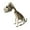 S, variant on Opvise Halloween Decoration Mini Skeleton Bone Statues Poseable Rat Dog Spider Cat Owl Skeleton Figurine for Haunted House Party Decor