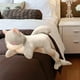 thumbnail image 5 of Tiburón gato de peluche Yotijar almohada abrazable 50cm, 5 of 9