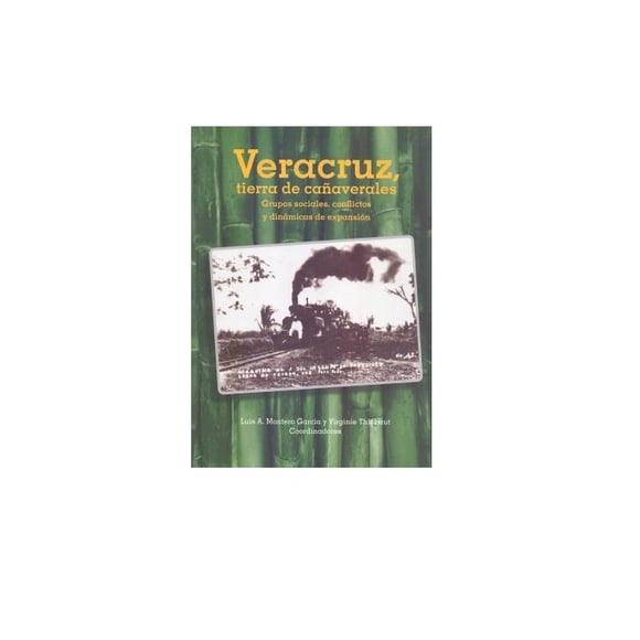 VERACRUZ TIERRA DE CAÑAVERALES INAH 9786074847031