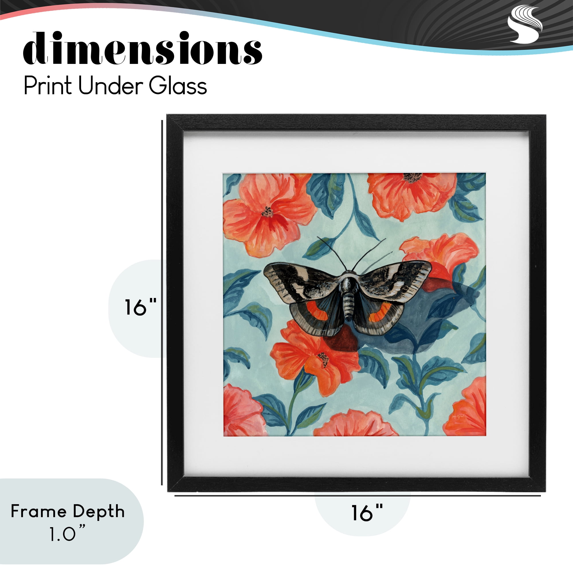 Stupell Industries Academia Moth On Floral Black Framed Print Under Glass, design by Kate Jarvik Birch