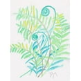 thumbnail image 2 of Dyer, Beverly 19x24 White Modern Wood Framed Museum Art Print Titled - Floral Fern II, 2 of 4