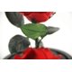thumbnail image 4 of Kit de rosas de La Bella y la Bestia XCF rosa eterna en un vaso regalos románticos de cumpleaños para novias, 4 of 4