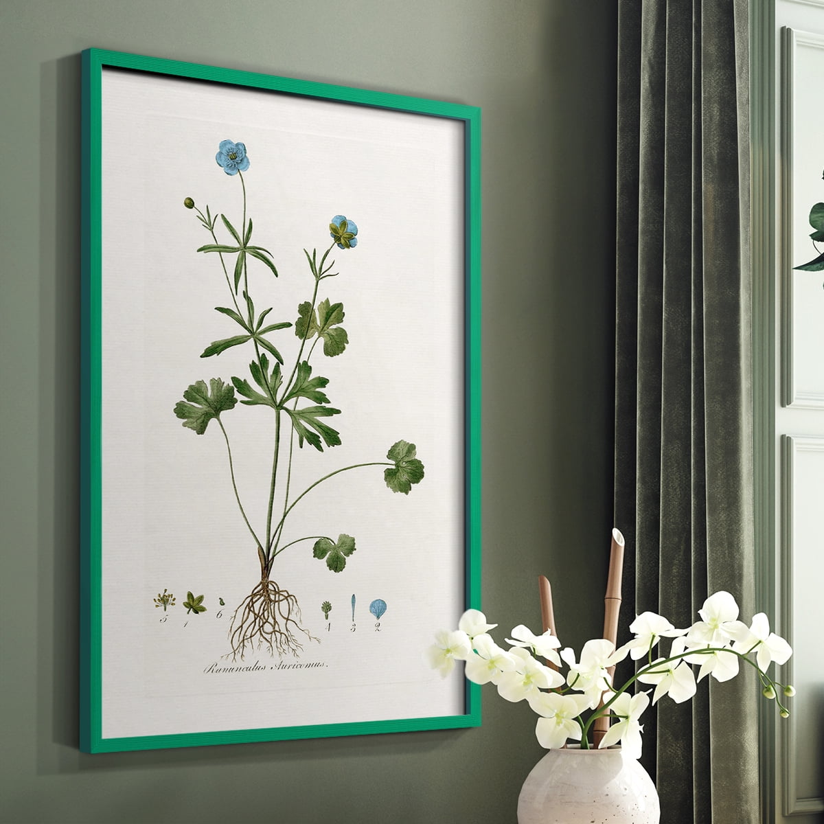 Buttercup Study Framed Print in Green Solid Wood Framed Print No Nail Hanging