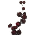 thumbnail image 2 of Northlight Artificial Weeping Thistle Christmas Spray - 41" - Red, 2 of 3