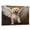 Barbet, variant on Berger Picard Dog Memorial Gifts - Waiting At The Door Canvas - Dog Memorial Frames Canvas, Memorial Gift For Pet Loss, Loss Of Dog, Pet Bereavement Gift, Pet Sympathy Gift