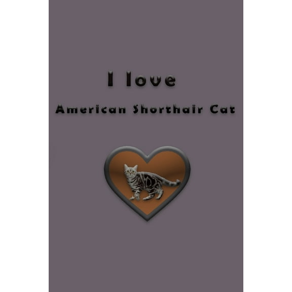 I love American Shorthair Cat (Paperback)