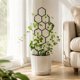 thumbnail image 3 of CaiYueKe Small Trellis for Potted Plants, 14.96 Inch Indoor Trellis for Climbing Plants Honeycomb Shape Plastic Plant Trellis for Pots Plant Climbing Support for Flower Hoya Pothos Houseplants(Black), 3 of 6