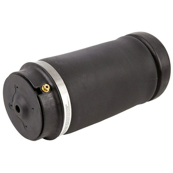 For Mercedes R320 R350 R500 Rear Air Suspension Spring - BuyAutoParts