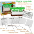 thumbnail image 4 of Nature Bound: Ant Treehouse - Insect Habitat Kit, Tunneling Sand, Connector Tube, Feeding Stick, Critter Observation, Learning Science Toy, Kids 3+, 4 of 9