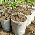 thumbnail image 4 of Ludlz 100Pcs/Set Biodegradable Non-Woven Nursery Bags Plant Grow Bags Fabric Seedling Pots Plants Pouch Home Garden Supply Degradable Plant Nursery Bags Pot Growing Container Garden Tool, 4 of 7