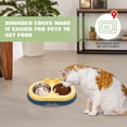 thumbnail image 5 of Cuencos dobles para perros y gatos Cuencos para mascotas de acero inoxidable de primera calidad con acero inoxidable antideslizante Modelado lindo Comida para mascotas Agua para comederos Perros, 5 of 5