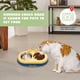 thumbnail image 5 of Cuencos dobles para perros y gatos Cuencos para mascotas de acero inoxidable de primera calidad con acero inoxidable antideslizante Modelado lindo Comida para mascotas Agua para comederos Perros, 5 of 5