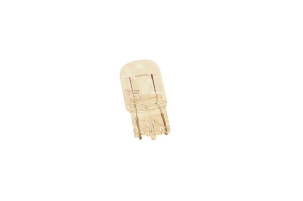 Brake and Tail Light Bulb