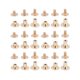 thumbnail image 1 of 30 Pcs Copper Flat Head Screws Stud Flat Fastener Belt Harness Nail Rivets Leather Notebook Craft DIY (Golden, 5mm, 6.5mm, 8mm Style), 1 of 3