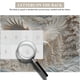 thumbnail image 5 of The Carved Puzzle 1000 Pieces Challenging Puzzle Game For Adults Wildlife Home Decoration Family Activity, 5 of 6