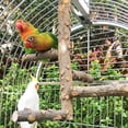 thumbnail image 2 of Juguete No Tóxico Para Morder Pájaros, Perca Para Pájaros De Juguete Para Masticar, Para Loros De Pájaros ANGGREK Bird Standing Rack, 2 of 8