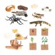 thumbnail image 3 of Juguetes de aprendizaje del ciclo de vida, accesorios didácticos, animales, plantas, figuras, juguetes Montessori Estilo B, 3 of 9