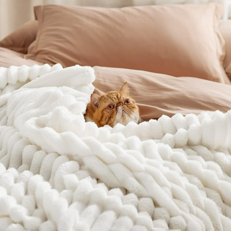 Bedsure White Fleece Throw Blanket for Couch Super Soft Cozy Blankets for Women Cute Small Blanket for Girls 50x60 Inches Walmart