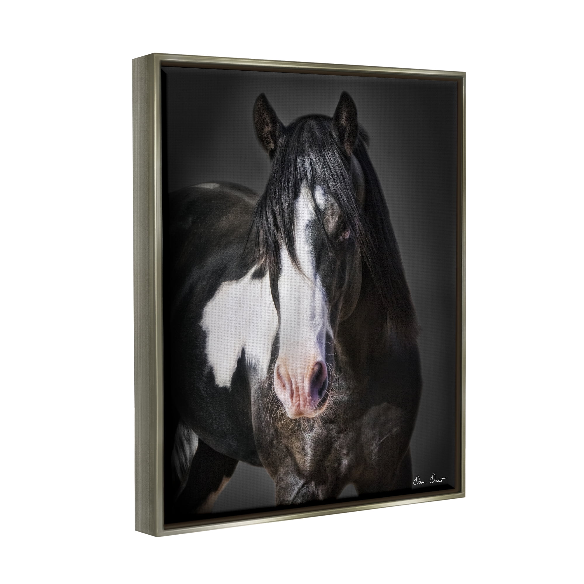 Stupell Industries Black & White Horse Animals & Insects Photography Gray Floater Framed Canvas Art Print Wall Art, 25 x 31