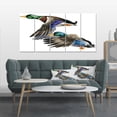 thumbnail image 1 of Design Art - hand Drawn Colored Duck isolated white background, 1 of 1